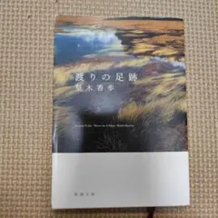 Item thumbnail for item f3158308-4e64-4310-800f-dd30bfdcabea