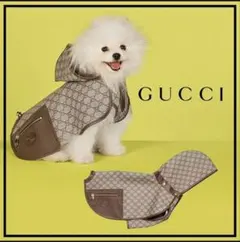 2026年最新】GUCCI 犬服・アクセサリーの人気アイテム - メルカリ