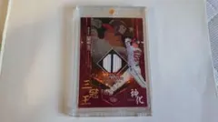 レインメーカー様 リクエスト 2点 まとめ商品