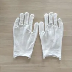 Item thumbnail for item 94b86ec4-fafd-44b9-9662-6878e0b0be6a