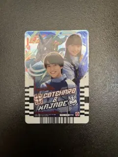 宝太郎とりんねの実写ライドケミートレカ