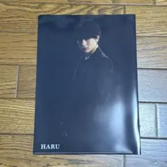 Item thumbnail for item ac801a8a-cfa7-45c1-96fc-a33c990a7c74