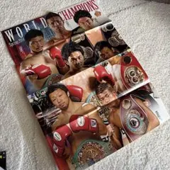 ポスター　井岡　高山　亀田　八重樫　ボクシングマガジン2014年4月号　付録