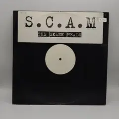 Skunk Anansie/The Skank Headsレコード12“97年