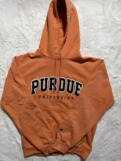 チャンピオン　カレッジロゴ 刺繍ワッペン プルオーバーパーカー