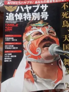 ハヤブサ追悼特別号