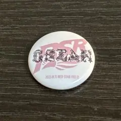 Shinkokyu プロフ必読様 リクエスト 2点 まとめ商品