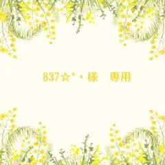 repipi armario スウェット　M