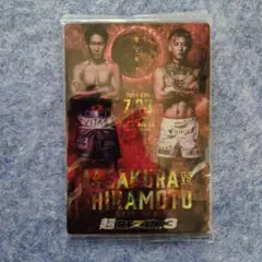 Item thumbnail for item 9ecb1195-8bb0-4588-af36-c0ea6570ce0e