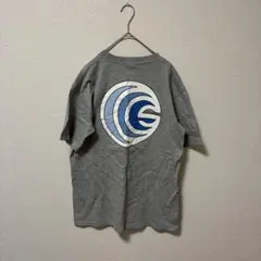 紺タグ オールド STUSSY Tシャツ グレー M USA製 - メルカリ