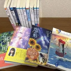 小説まとめ売り