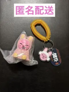 SKZOO トェッキ トゥエッキ ライトマスコット キーホルダー 2点セット