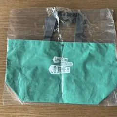 Item thumbnail for item 510a66c8-f97f-4906-a301-80cebde11fa4