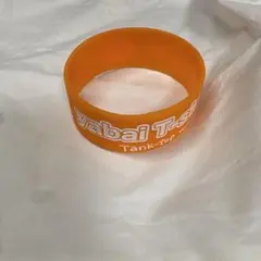 Item thumbnail for item 4ef8618b-ebd5-41e0-bf46-e2efda6e72b4