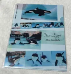 名古屋港水族館 A4 クリアファイル Dear Lynn リン アース シャチ