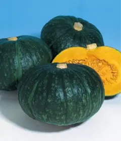 つむぎちゃん様 リクエスト 2点 まとめ商品