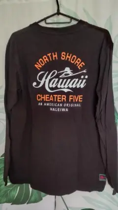 チーターファイブ ハワイ