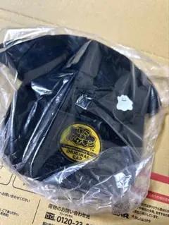 ぽこあポケモン　メタモンキャップ　エディオン　特典