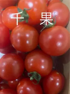 nabi3600様 リクエスト 2点 まとめ商品