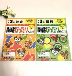 Item thumbnail for item dbf2ca47-c5b7-4a79-ac5a-cc81c5ede39b