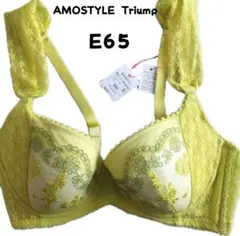 アモスタイル トリンプ ブラ E65