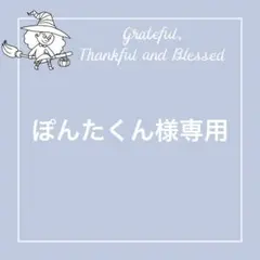 ぽんたくん様専用