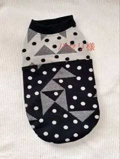 Item thumbnail for item 893f53e3-22c3-4d4d-a91d-3a67faaf8c9e