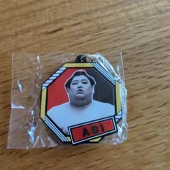大相撲ガチャ　阿炎関　ラバーキーホルダーのサムネイル