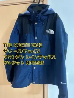 【破格】THE NORTH FACE マウンテン レインテックス ジャケット M
