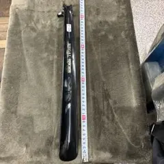 Item thumbnail for item 0e038a69-7c85-4777-9ec5-a3bd4ab9d04d