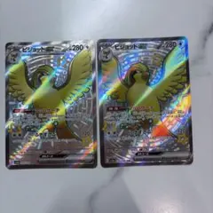 ピジョットex マッハサーチ ssr 2枚のサムネイル