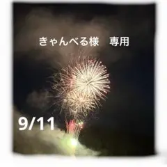 きゃんべる様　専用