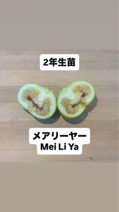 2026年最新】メイリーヤーの人気アイテム - メルカリ