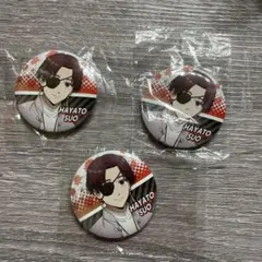 WIND BREAKER ウィンドブレイカー 缶バッジ 蘇枋隼飛