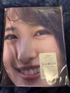 抱き枕カバー　向井地美音のサムネイル