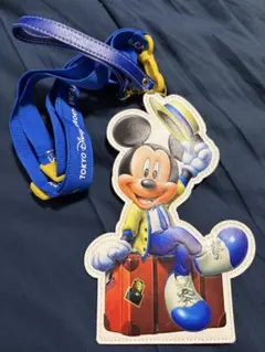 ミッキーマウス バケーションパッケージ パスケース 東京ディズニーリゾート