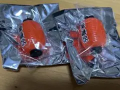 アルビレックス　新潟 ミニ提灯ライトキーホルダー　19 星雄次　2個セット