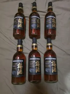 2026年最新】梅酒リッチアンバーの人気アイテム - メルカリ