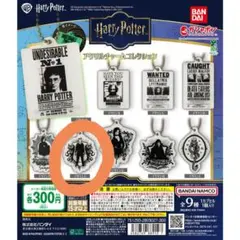 ハリー・ポッター アクリルチャームコレクション　マルフォイ