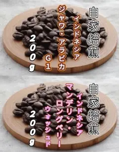 Item thumbnail for item eb423ec2-b3bc-4dae-857f-923b835a1522