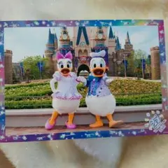 ディズニースペシャルフォト　ドナルド　デイジー　25周年