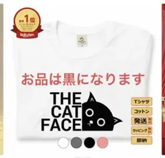 猫　黒Tシャツ　半袖