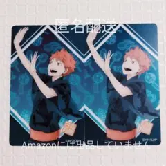 ハイキュー ファンパーク かげやまトビウオくじ クリアカード 日向