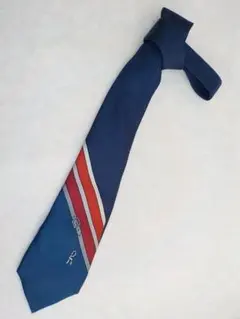 ☆昭和レトロ☆ Roberta di Camerino ロベルタ　ネクタイ