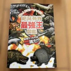 F様 リクエスト 3点 まとめ商品