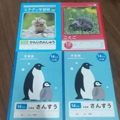 Item thumbnail for item f6bf0268-d243-4825-8f39-ed9a5efd0a08