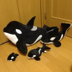 レア《名古屋港水族館》2等シャチくじ×2 - メルカリ