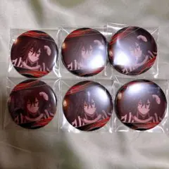 鬼滅の刃 伊黒小芭内 キャラバッジコレクション 6点セット