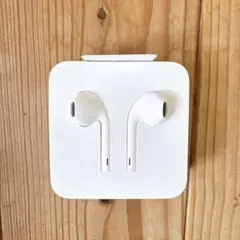 Apple イヤホン　アダプタセット