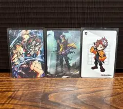 CR コレクションカード ありさか crazy raccoon